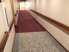 Carpet Commercial